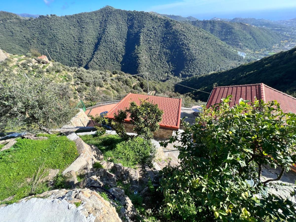Villa Di Campagna Con Vista Mare 5 Camere Da Letto Pampara Eksteriør billede