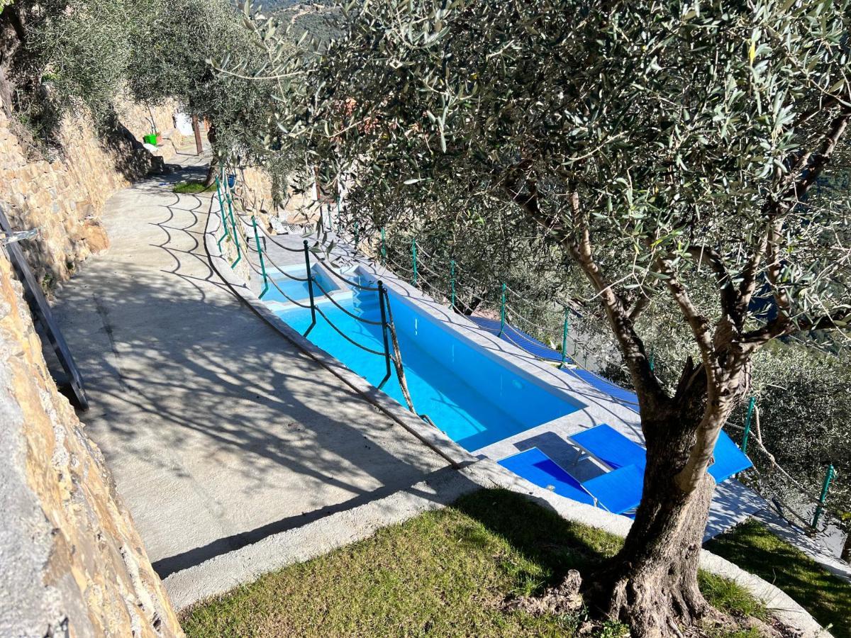 Villa Di Campagna Con Vista Mare 5 Camere Da Letto Pampara Eksteriør billede