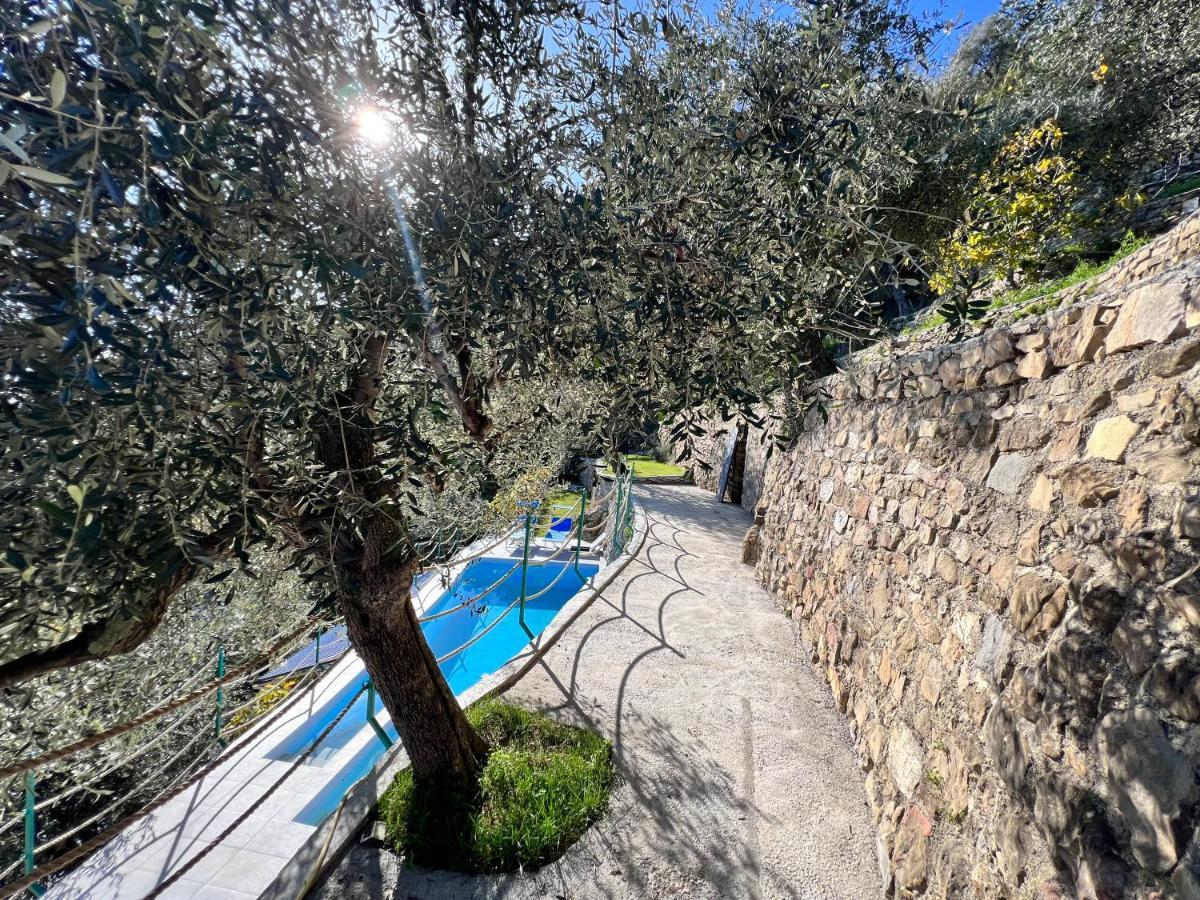 Villa Di Campagna Con Vista Mare 5 Camere Da Letto Pampara Eksteriør billede